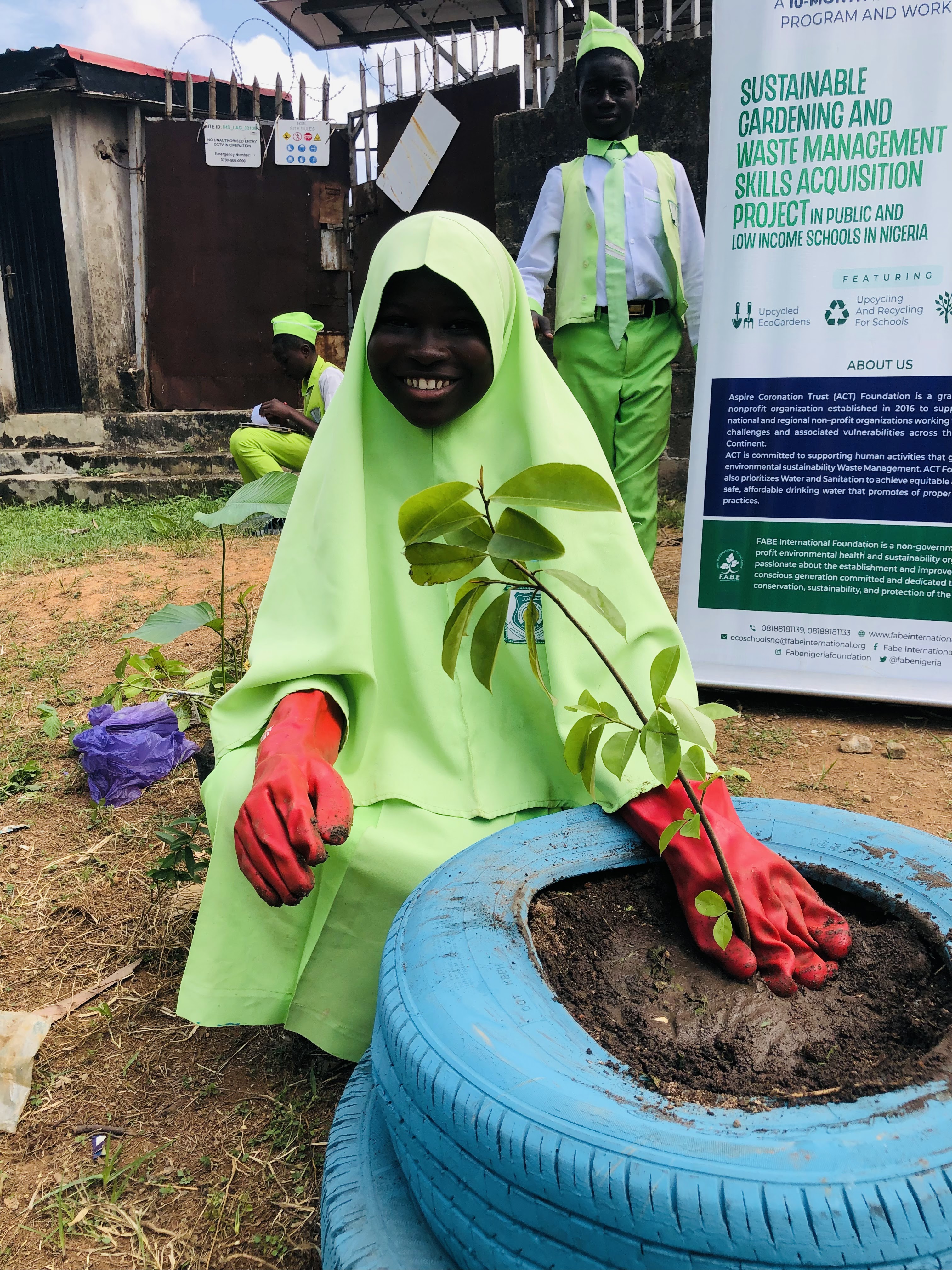 A person planting a small tree